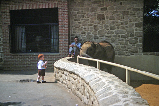 Philip E. Rosenberg slides -- zoo - Adam, elephant