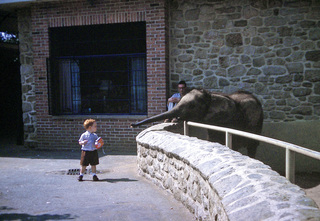 Philip E. Rosenberg slides -- Gloria and Betsy