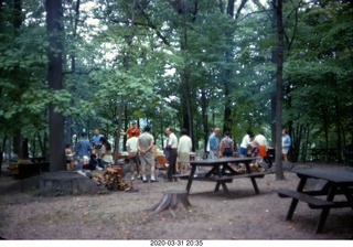 cousins picnic