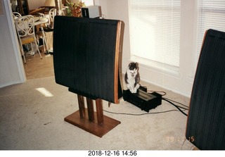 Jack on my Eagle amp + Quad ESL speakers