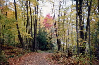 WARR, Gatineau overlook