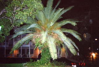 Key West