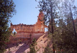 Bryce Canyon tower bridge area