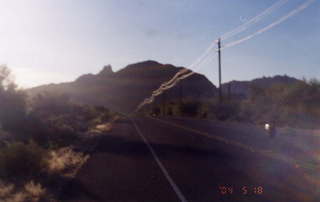 Pinnacle Peak, morning mockingbird on saguaro cactus