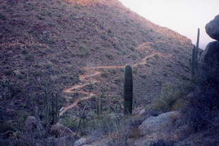 Pinnacle Peak running trail on neighboring hill