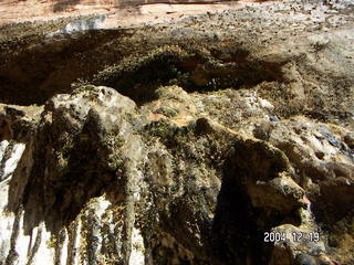 Zion National Park, Weeping Rock