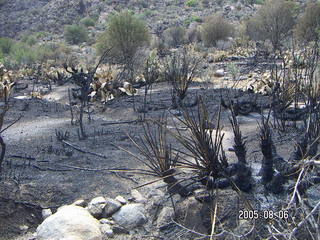 Bagdad, Arizona, run