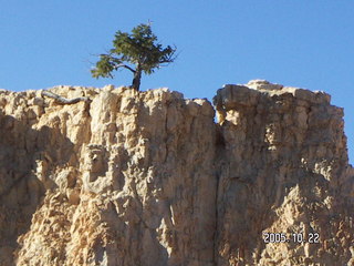 Bryce Canyon -- Queen's Garden Trail