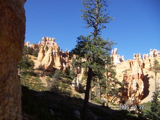 Bryce Canyon -- Navajo Loop