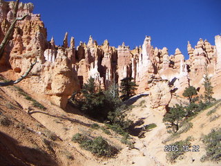 Bryce Canyon -- Navajo Loop -- Wall Street
