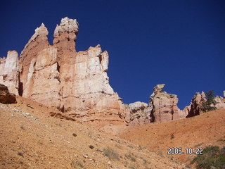 Bryce Canyon -- Navajo Loop -- tall, patient tree