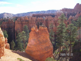 Bryce Canyon -- Navajo Loop -- tall, patient tree