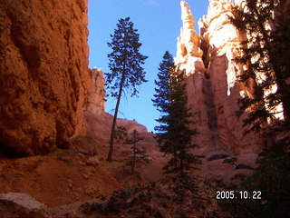 Bryce Canyon -- Navajo Loop