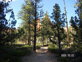 Bryce Canyon -- Navajo Loop