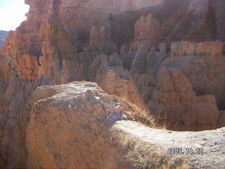 Bryce Canyon -- Queen's Garden trail