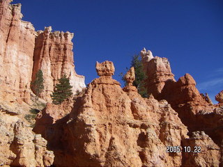 Bryce Canyon -- Adam -- Queen's Garden trail