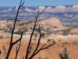Bryce Canyon -- Queen's Garden trail