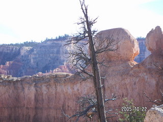 Bryce Canyon -- Queen's Garden trail