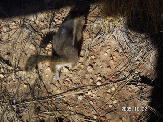 Bryce Canyon -- Queen's Garden trail
