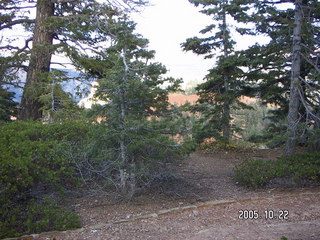 Bryce Canyon -- Queen's Garden trail