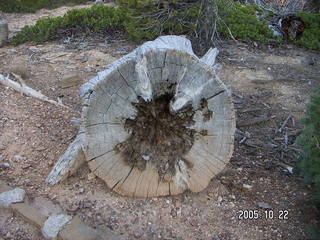 Bryce Canyon -- Queen's Garden trail