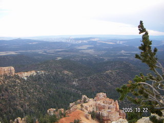 Bryce Canyon -- blurry chipmunk