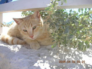 2006 eclipse trip -- Santorini shopping stop -- statue