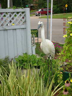 Minnesota trip - Afton run - Selmas Ice Cream Parlour