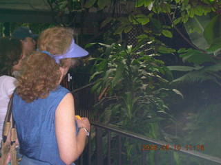 Philadelphia Zoo -- monkey
