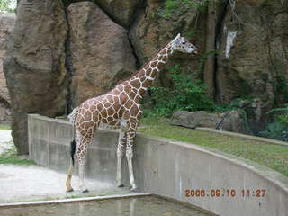 Philadelphia Zoo -- monkey