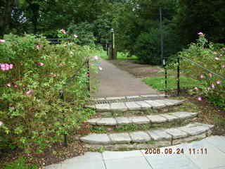 The rest of the way up the stairs.
