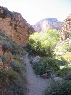 Christoph G. picture -- Grand Canyon -- Silver Bridge