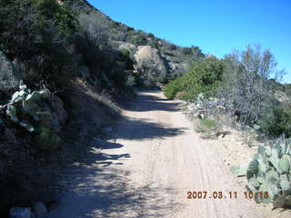 Bagdad run