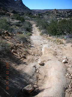 Bagdad run