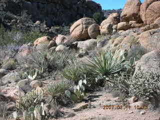 Bagdad run