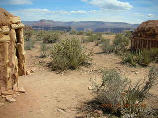 shrubs to the rim at Grand Canyon West