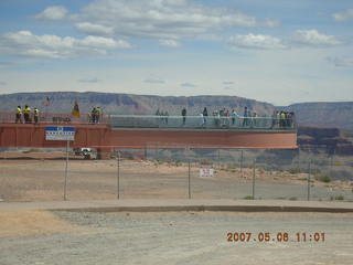 shrubs at Grand Canyon West
