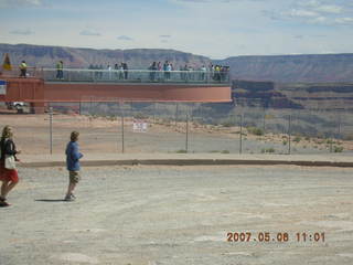shrubs at Grand Canyon West
