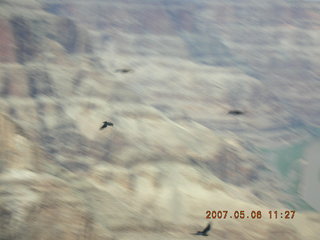 Grand Canyon West