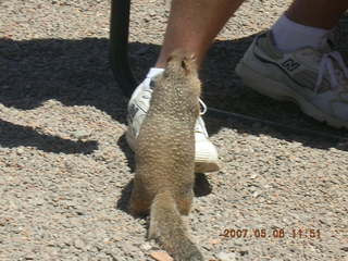 Grand Canyon West - Colorado River