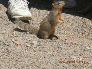 Grand Canyon West - mining equipment