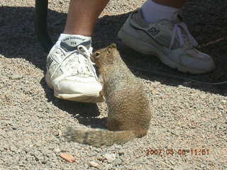 Grand Canyon West - Colorado River
