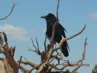 Grand Canyon West - leg of mining equipment