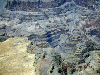 Grand Canyon West - bird