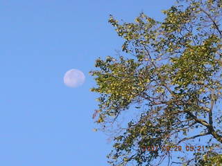 moon over McDowell Mountains