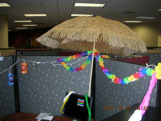 Neil's wedding/honeymoon workplace