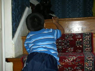stairs in Ari's yellow house