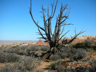 132 6be. Arches National Park - Devils Garden hike