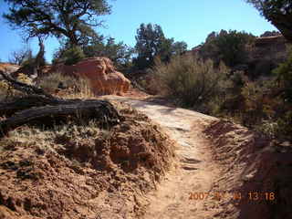 136 6be. Arches National Park - Devils Garden hike