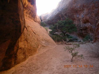 238 6be. Arches National Park - Devils Garden hike